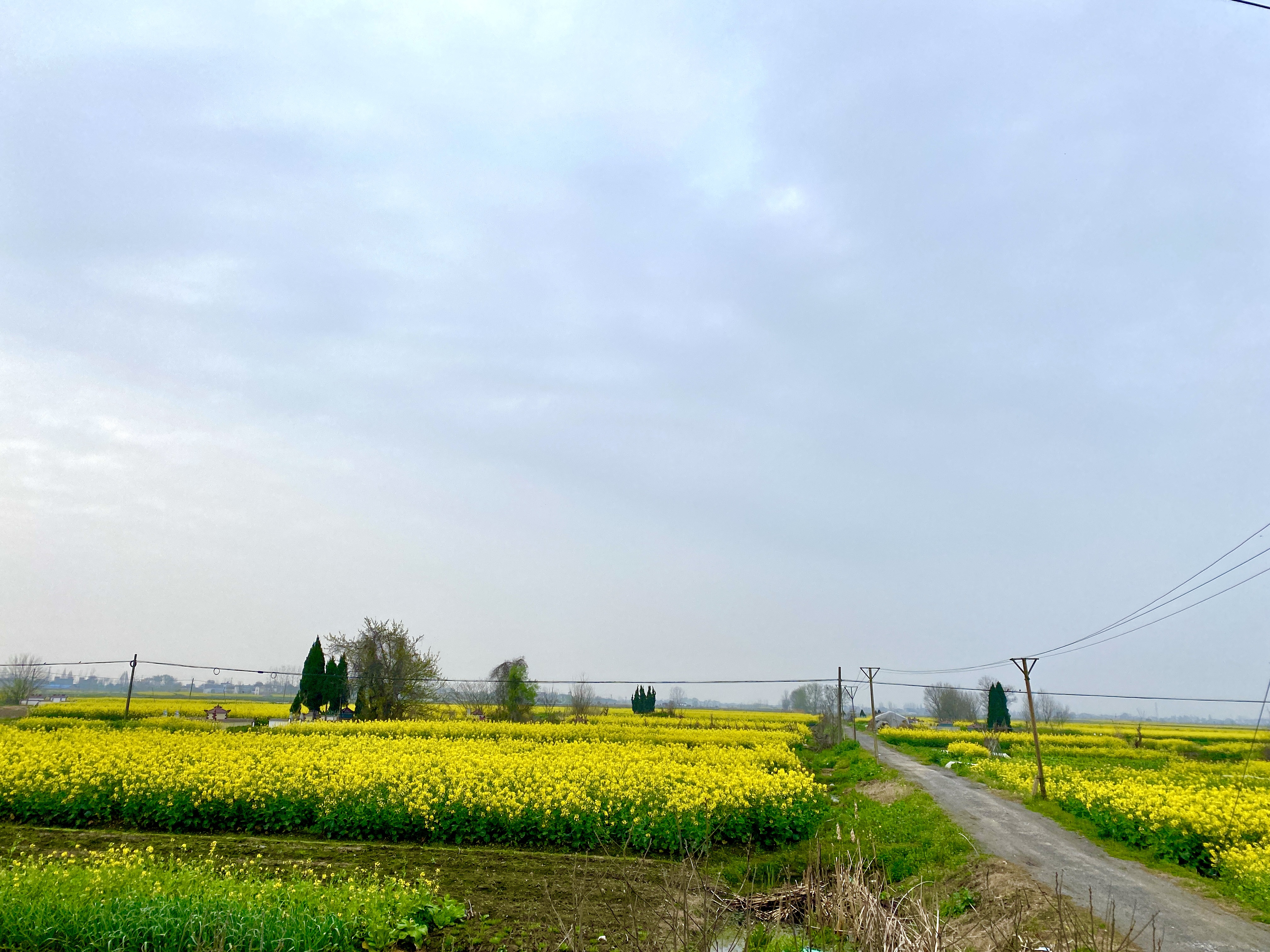 37015F32@2603635B.7D585160.jpg.jpg 37015F32@2603635B.7D585160.jpg.jpg