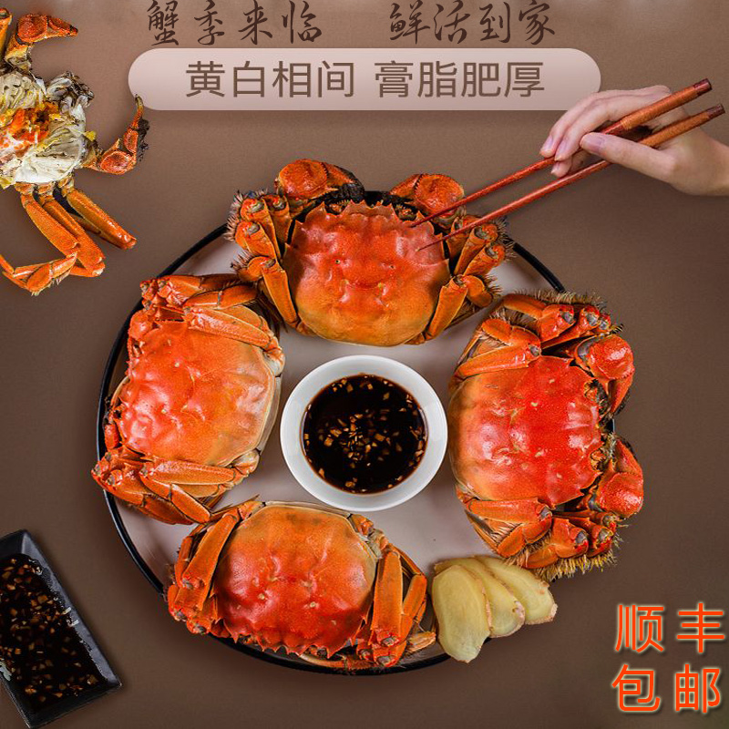 33054294@AB75FC14.7C255B60.jpg.jpg 33054294@AB75FC14.7C255B60.jpg.jpg