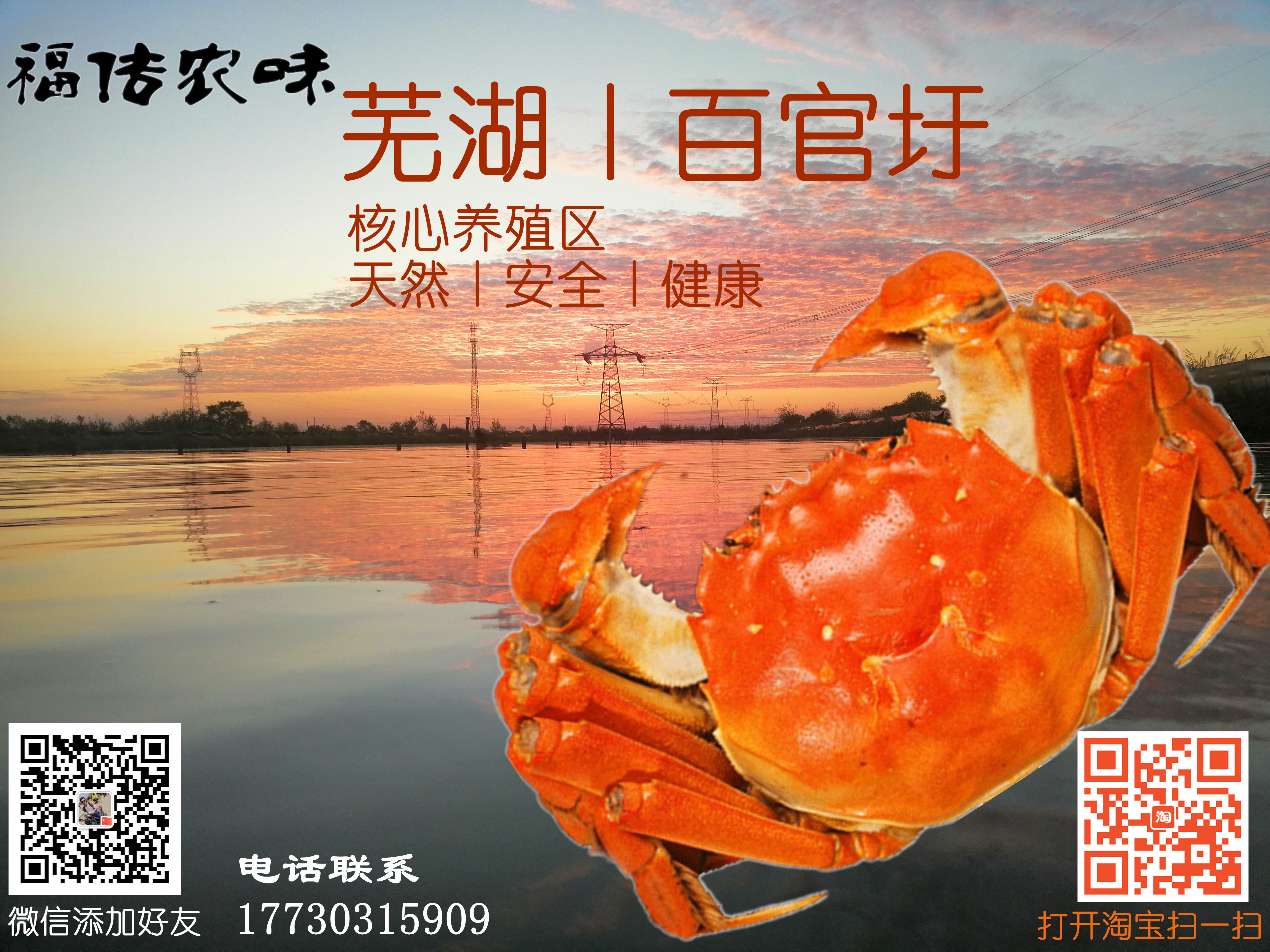 2BF25E34@2016DA58.7C255B60.jpg.jpg 2BF25E34@2016DA58.7C255B60.jpg.jpg