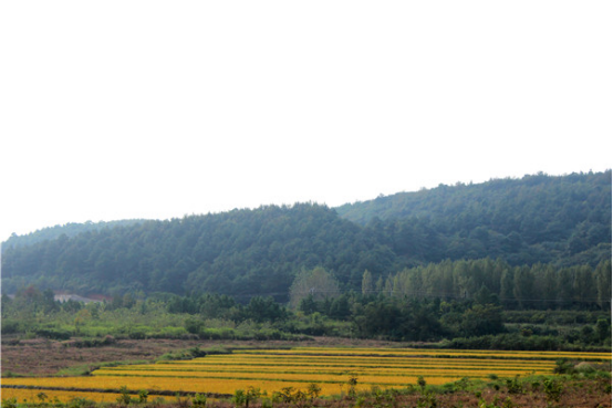 797B31ED@F055BB55.82062661.png.jpg.png 797B31ED@F055BB55.82062661.png.jpg.png