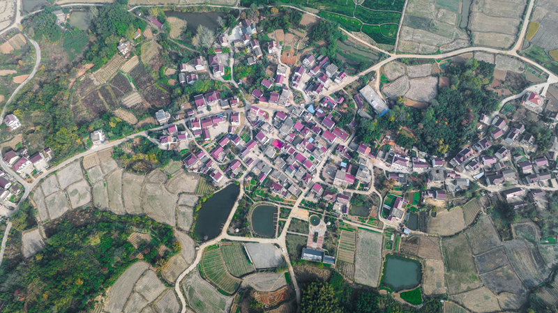 W020221116610284063394.jpg W020221116610284063394.jpg