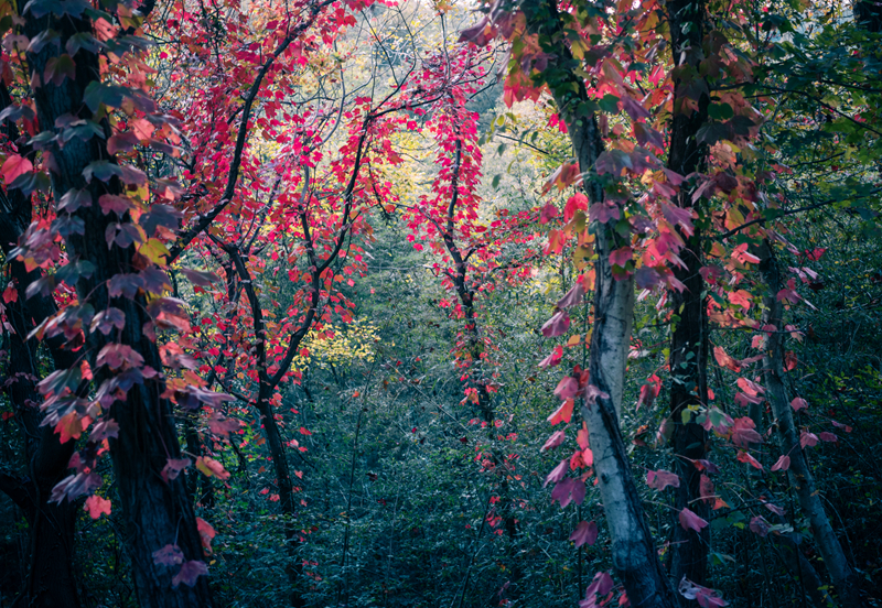 W020221116610289247384.jpg W020221116610289247384.jpg