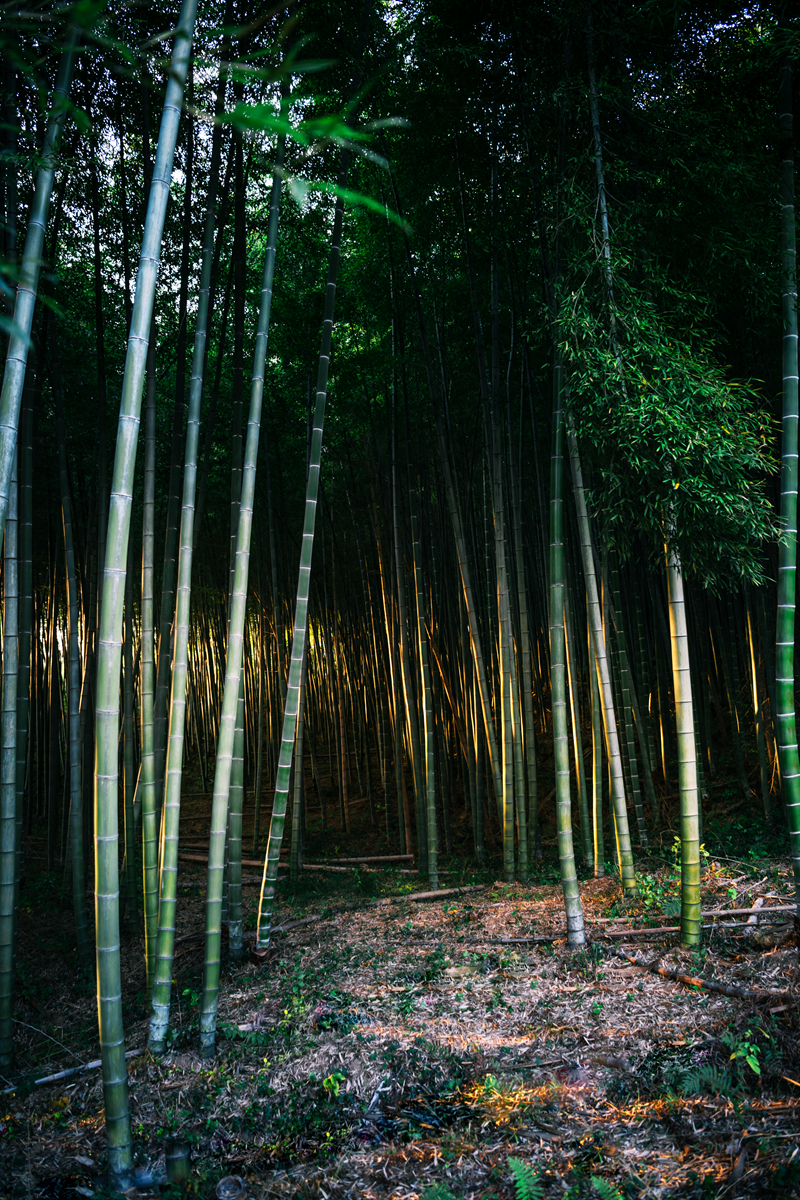 W020221116610289922901.jpg W020221116610289922901.jpg