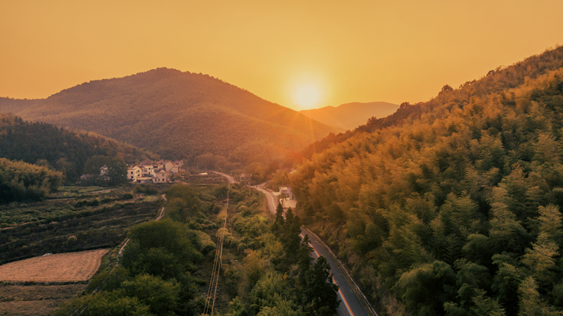 W020221116610290495331.jpg W020221116610290495331.jpg