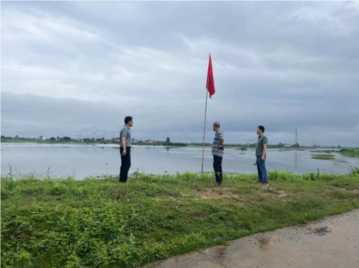 QQ_1722582545712.png QQ_1722582545712.png