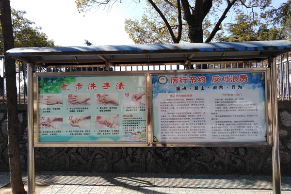 IMG_20210221_133803.jpg IMG_20210221_133803.jpg