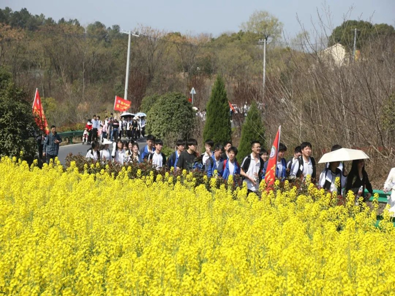 圖片2.png 圖片2.png