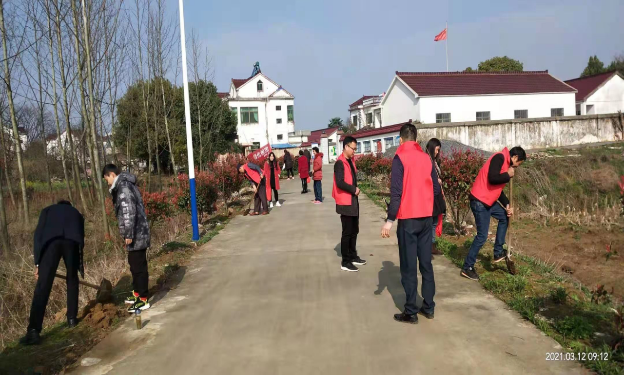 圖片3.png 圖片3.png